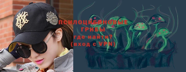 винт Лиски