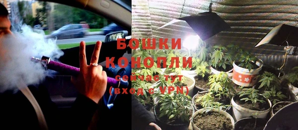 винт Лиски