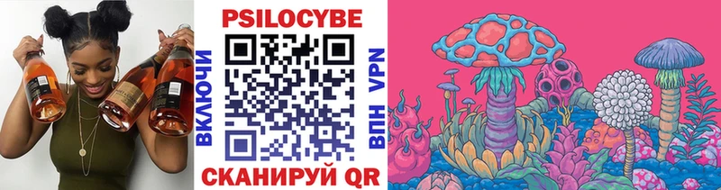 omg как войти  Тимашёвск  Галлюциногенные грибы Psilocybine cubensis 